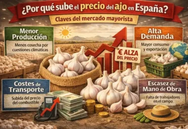 sube el precio del ajo Sube le precio del Ajo Sevilla